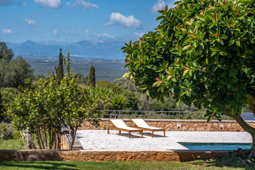 Mediterraner Garten mit absoluter Privatsphäre