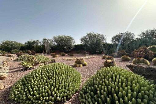 Mediterraner Garten