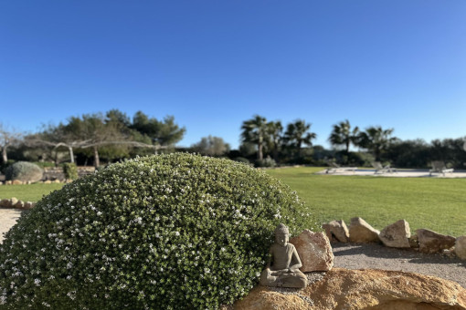 Mediterraner Garten