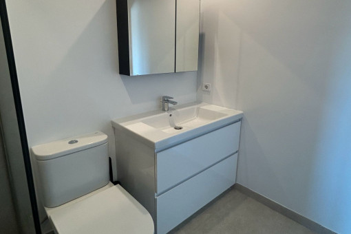 En-suite-Badezimmer des Master-Schlafzimmers