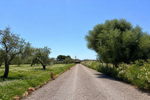 Zufahrt zur Finca