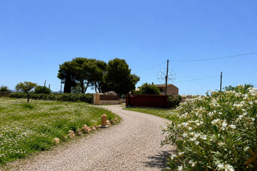 Zufahrt zur Finca