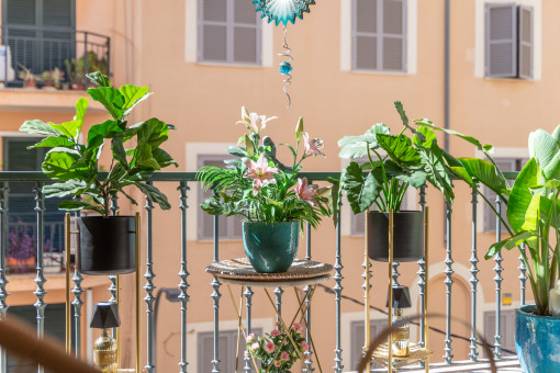 Balkon 