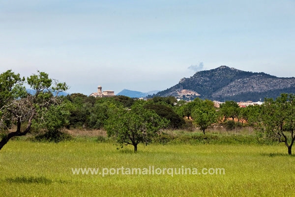 Große Finca mit viel Charme - nahe Llucmajor