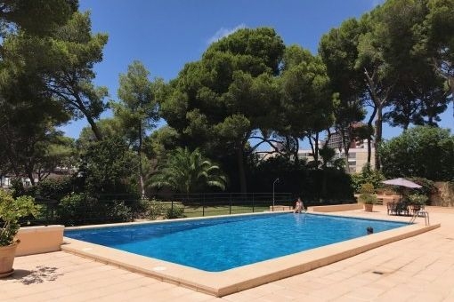 Playa De Palma Schicke Helle Wohnung Mit Pool Und In Strandnahe