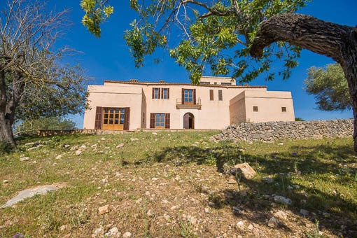Große Finca mit enormem Potential in San Lorenzo