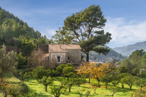 Renovierungsbedurftige Finca Mit Mehr Als 25 Hektar Land Und