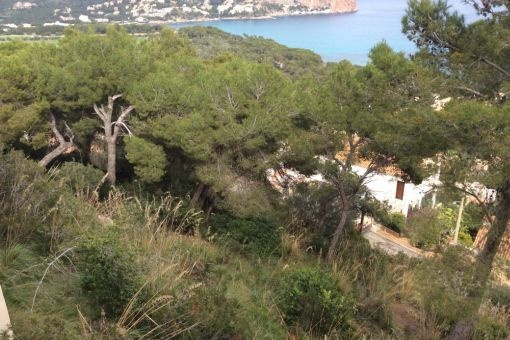 Tolles Baugrundstück mit Meerblick in Costa Canyamel