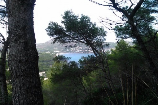 Schönes Grundstück in Costa de Canyamel mit Meerblick