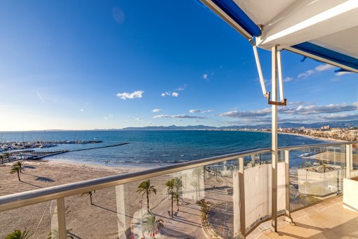 Playa De Palma Immobilien In Playa De Palma Auf Mallorca Kaufen