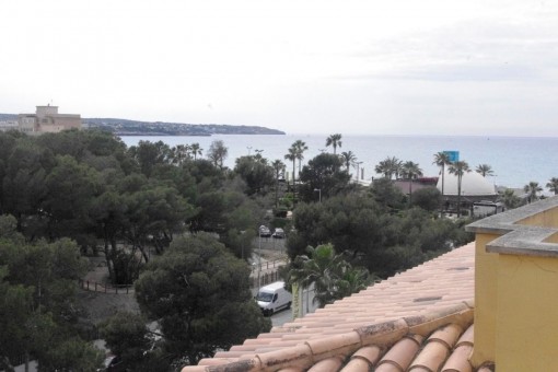 Wohnung Mieten Mallorca Playa De Palma Wohnung Mieten Mallorca Playa De Palma