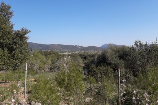 Grosses Grundstück in Campanet mit Weitsicht, eigenem Brunnen