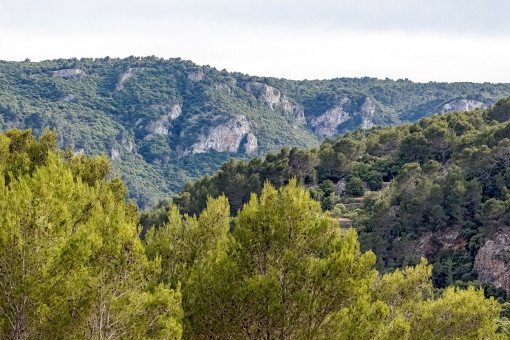 Blick aufs Gebirge