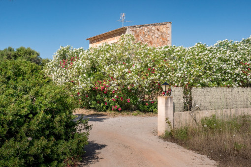 Zugang zur Finca