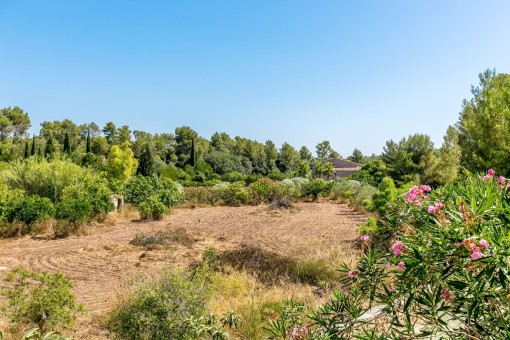 Weitläufiger Garten mit Obstbäumen