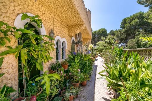 Investitionsobjekt mitten in Cala Ratjada