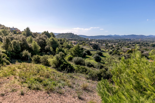 Herrliche, hügelige Landschaft