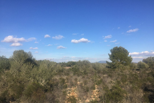Weiter Blick über die Landschaft