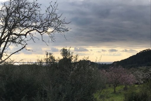Schönes Grundstück mit Meerblick bei Es Carritxo