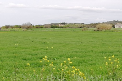 Fantastisches Baugrundstück in ruhiger Umgebung in San Joan