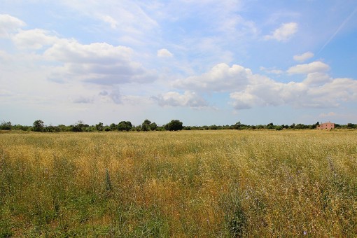 Schönes Grundstück zum Bau einer Finca