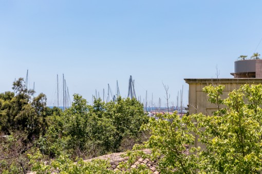 Duplex-Penthouse in Santa Catalina mit großer Garage und 40 qm Terrasse