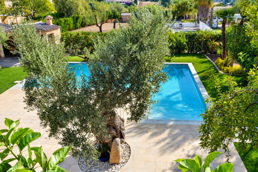 Poolbereich