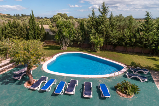 Blick auf den Pool und Garten