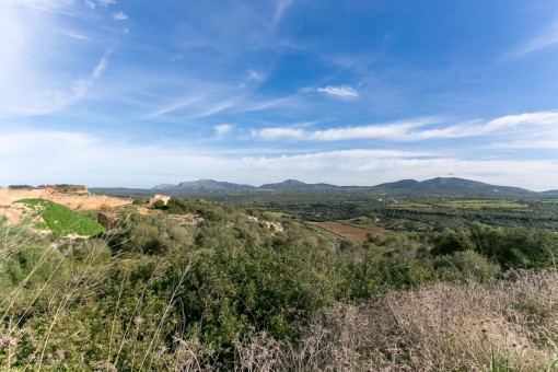 Außergewöhnliches Grundstück mit den Bergen von Artà und dem Albufera-Naturpark als Kulisse