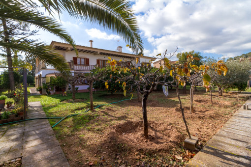 Garten mit Obstbäumen