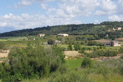 Schönes Grundstück mit Weitblick in Porreres