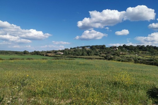 Grundstück mit schönem Weitblick, zentraler Anbindung und eigenem Brunnen bei Manacor