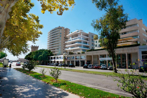 Luxuswohnung in erster Linie am Paseo Maritimo mit Blick über die Bucht von Palma