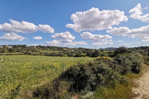 Schönes Grundstück mit Panoramablick nahe Manacor