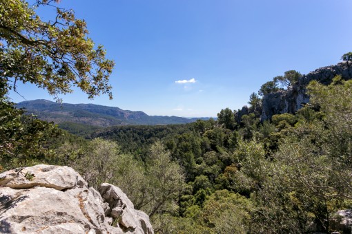 Beeindruckender Panoramablick