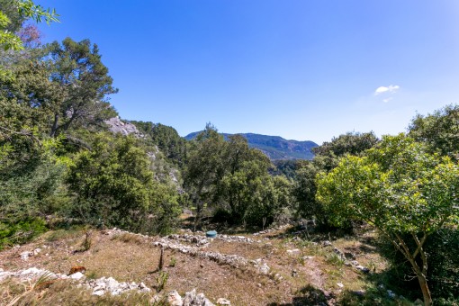 Schöner Landschaftsblick
