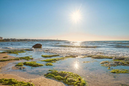 Strand bei der Wohnung