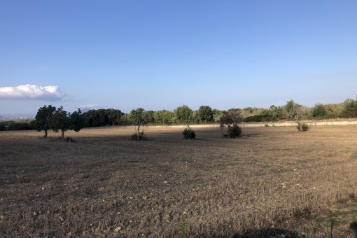 Idyllisch gelegenes Fincagrundstück in Muro zum Bau einer Finca