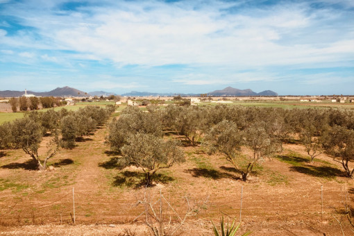 Panoramablick vom Obergeschoss aus