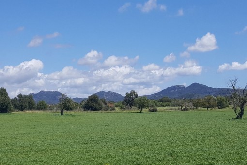Wunderschönes Grundstück mit bezauberndem Panoramablick bei Cas Concos