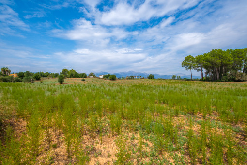 Reizvolles Finca-Baugrundstück mit 21.452 qm und Blick auf die Tramuntana bei Sencelles