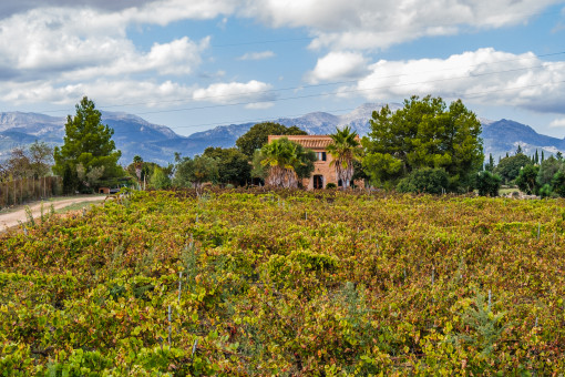 Blick auf die Finca und das Tramuntanagebirge