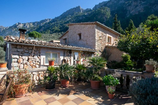 Finca mit Meerblick und zwischen Olivenbäumen in Fornalutx