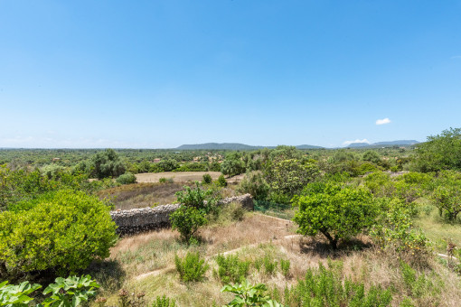 Ausblick der Finca