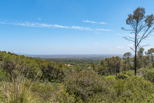 Ausblick der Finca