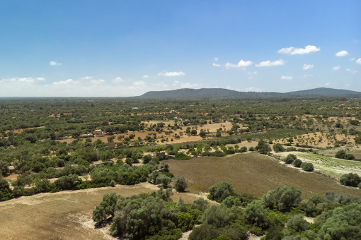 Idyllische Umgebung der Finca