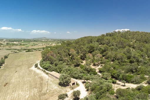 Idyllische Umgebung der Finca