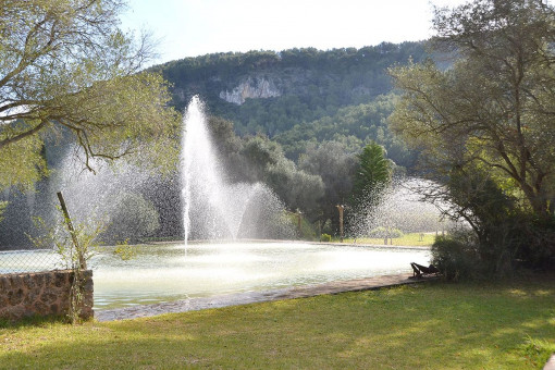 Garten