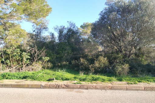 Schönes Baugrundstück für ein Einfamilienhaus in ruhiger Lage von Son Moja