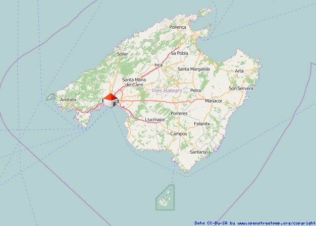 Palma 
